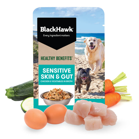 Black Hawk Healthy Benefits Adult All Breeds Sensitive Skin & Gut Chicken & Vegetables in Broth Wet Dog Food