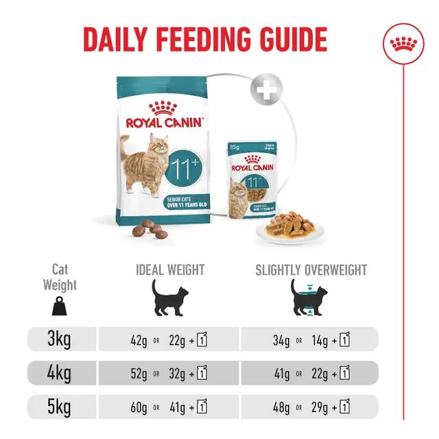 Royal Canin Ageing 11+ Cat Dry Food Bag
