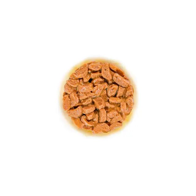 Royal Canin Ageing 11+ Cat Wet Food Pouches in Gravy