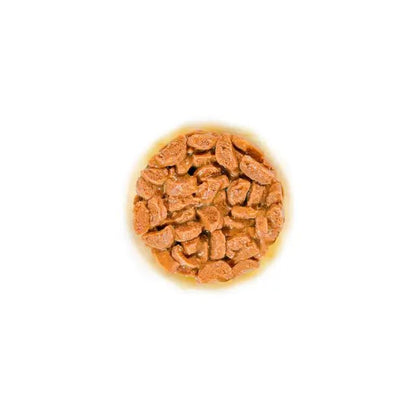 Royal Canin Ageing 11+ Cat Wet Food Pouches in Gravy