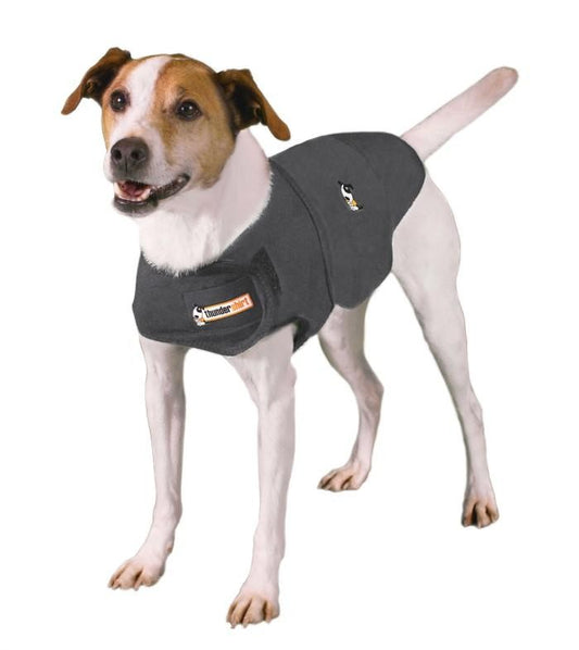 ThunderShirt Heather Grey