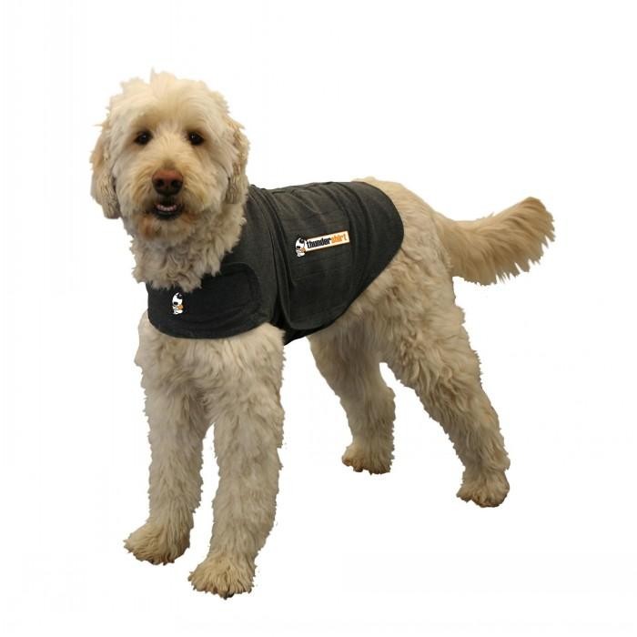 ThunderShirt Heather Grey