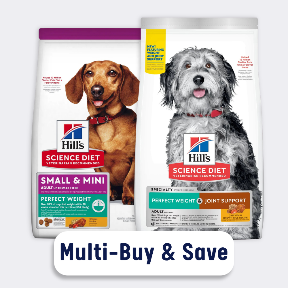 iPetStore