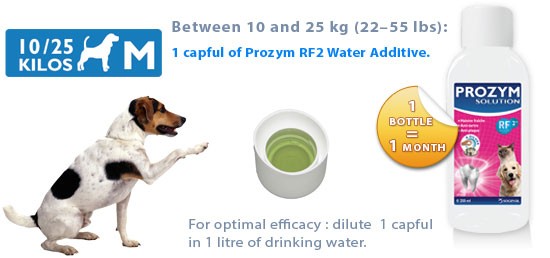 Prozym Rf2 Solution 250ml Bottle