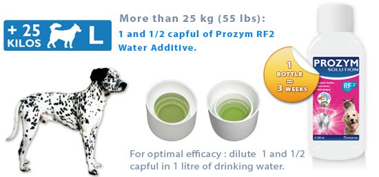 Prozym Rf2 Solution 250ml Bottle