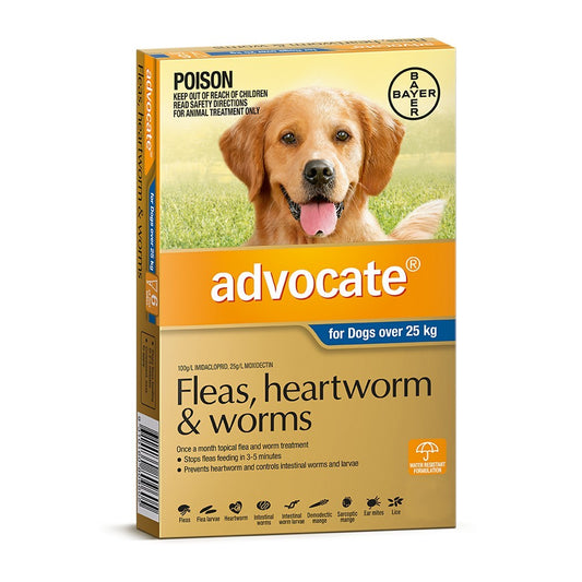 Advocate Dog Extra Large Grey over 25KG