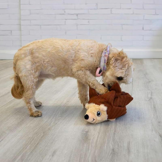 KONG Layerz Forage Hedgehog Medium