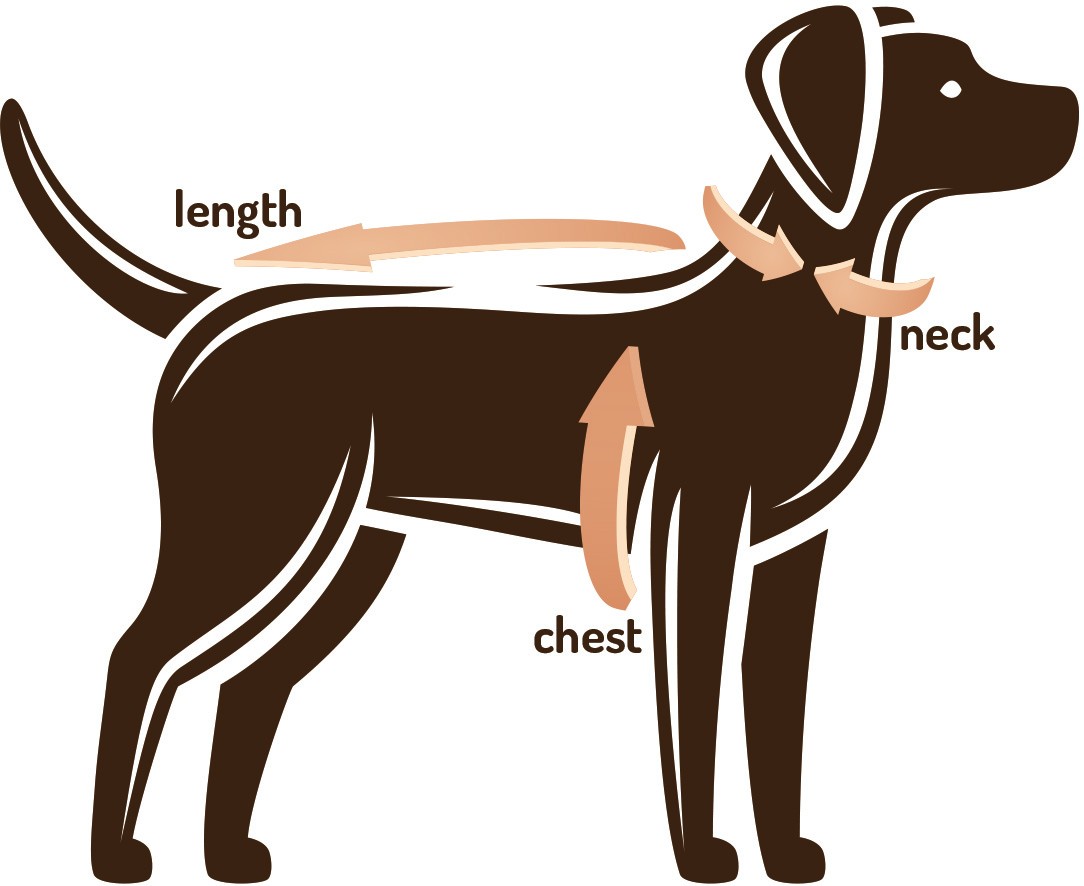 Dapper Dog Oilskin Dog Coat