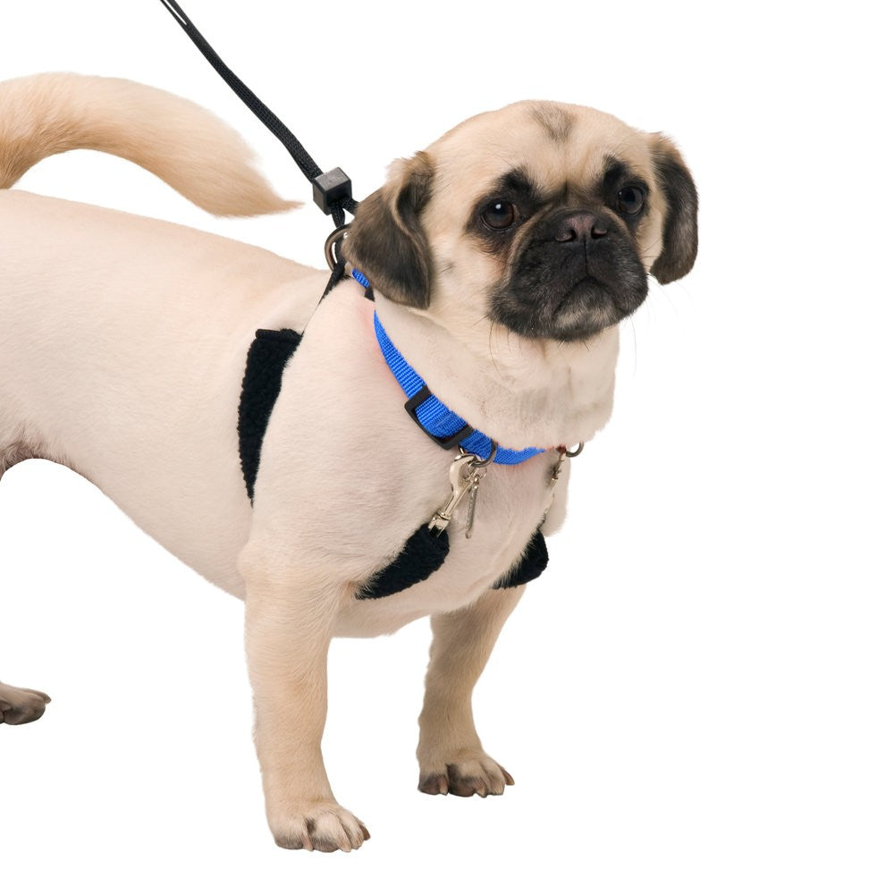 Sporn Original Halter Dog Harness Black