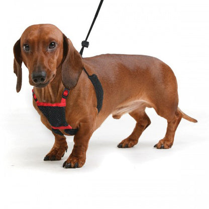 Sporn Stop Pulling Mesh Harness Black