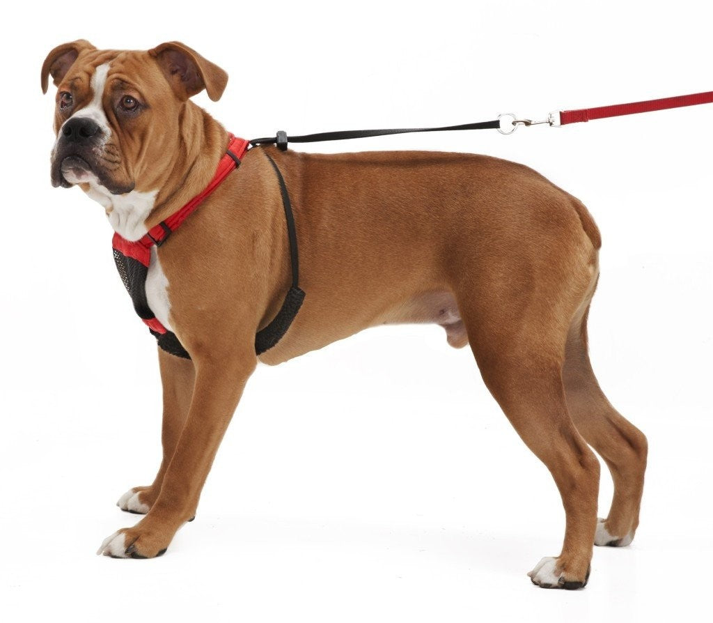 Sporn Stop Pulling Mesh Harness Black