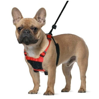 Sporn Stop Pulling Mesh Harness Black