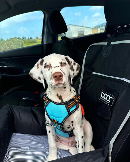 DOOG Neotech Harness Rin Tin Tin