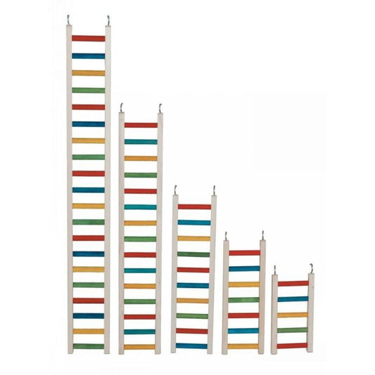 Paradise Parrot Ladder