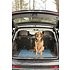 Dirty Dog Doormat Grey Small 58 x 41cm