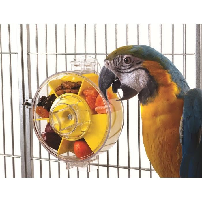 Creative Foraging Generation II Large Wheel Bird Toy