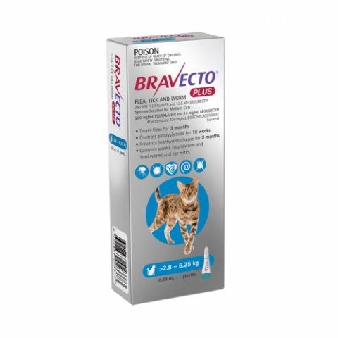 Bravecto Plus For Cats Blue 2.8 - 6.25kg