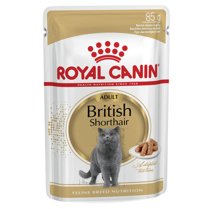 Royal Canin British Short Hair Cat Wet Food Pouches in Gravy