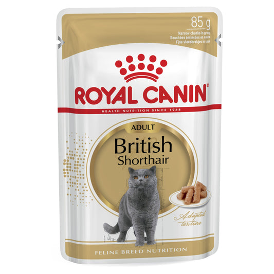 Royal Canin British Short Hair Cat Wet Food Pouches in Gravy