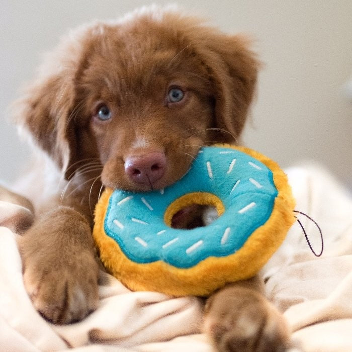 ZippyPaws Mini Donutz Blueberry