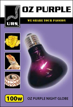 URS Oz Purple Night Heat & Light Globe