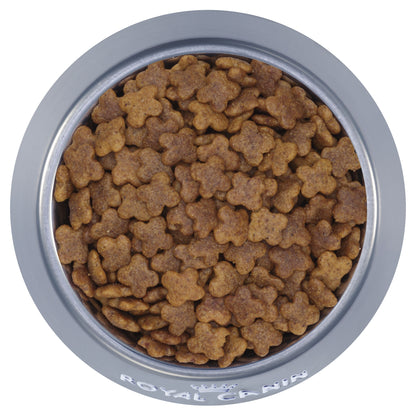 Royal Canin Mini Adult Dry Dog Food
