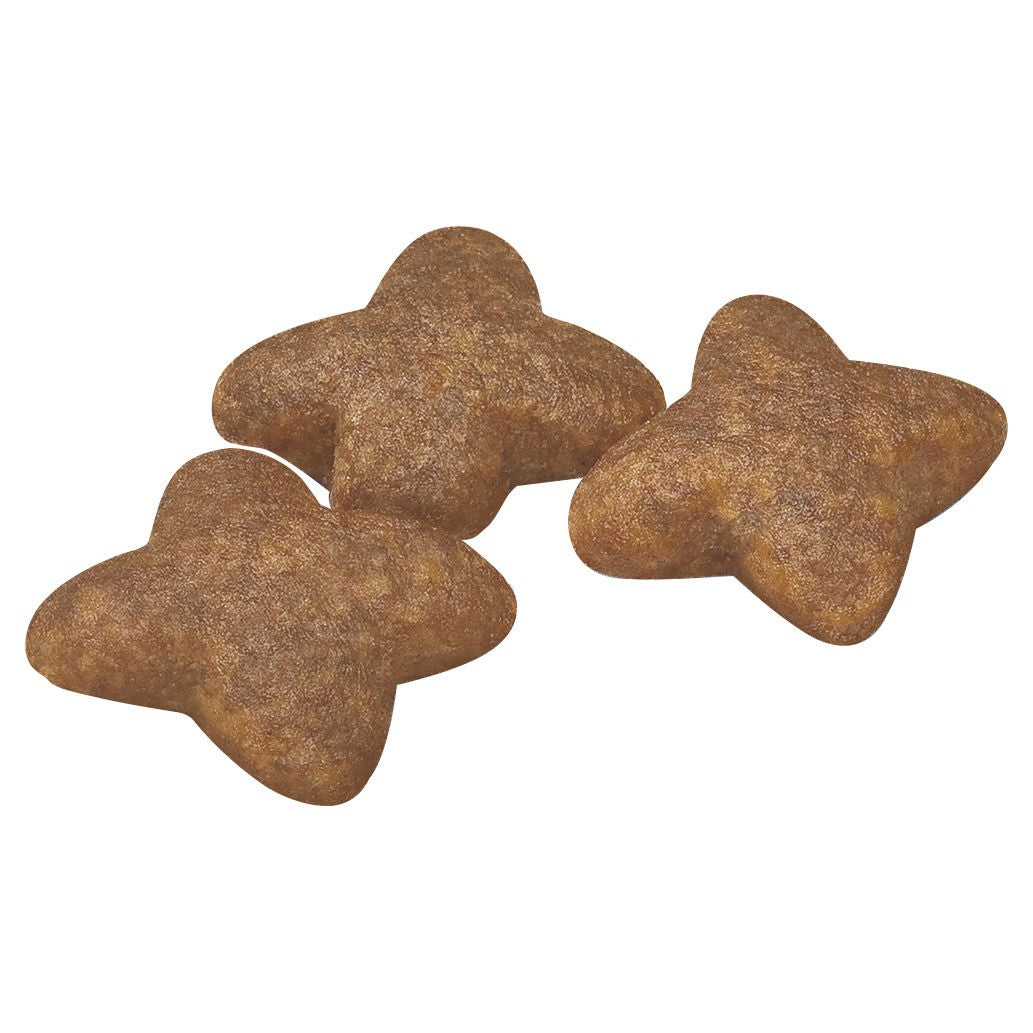 Royal Canin Mini Adult Dry Dog Food