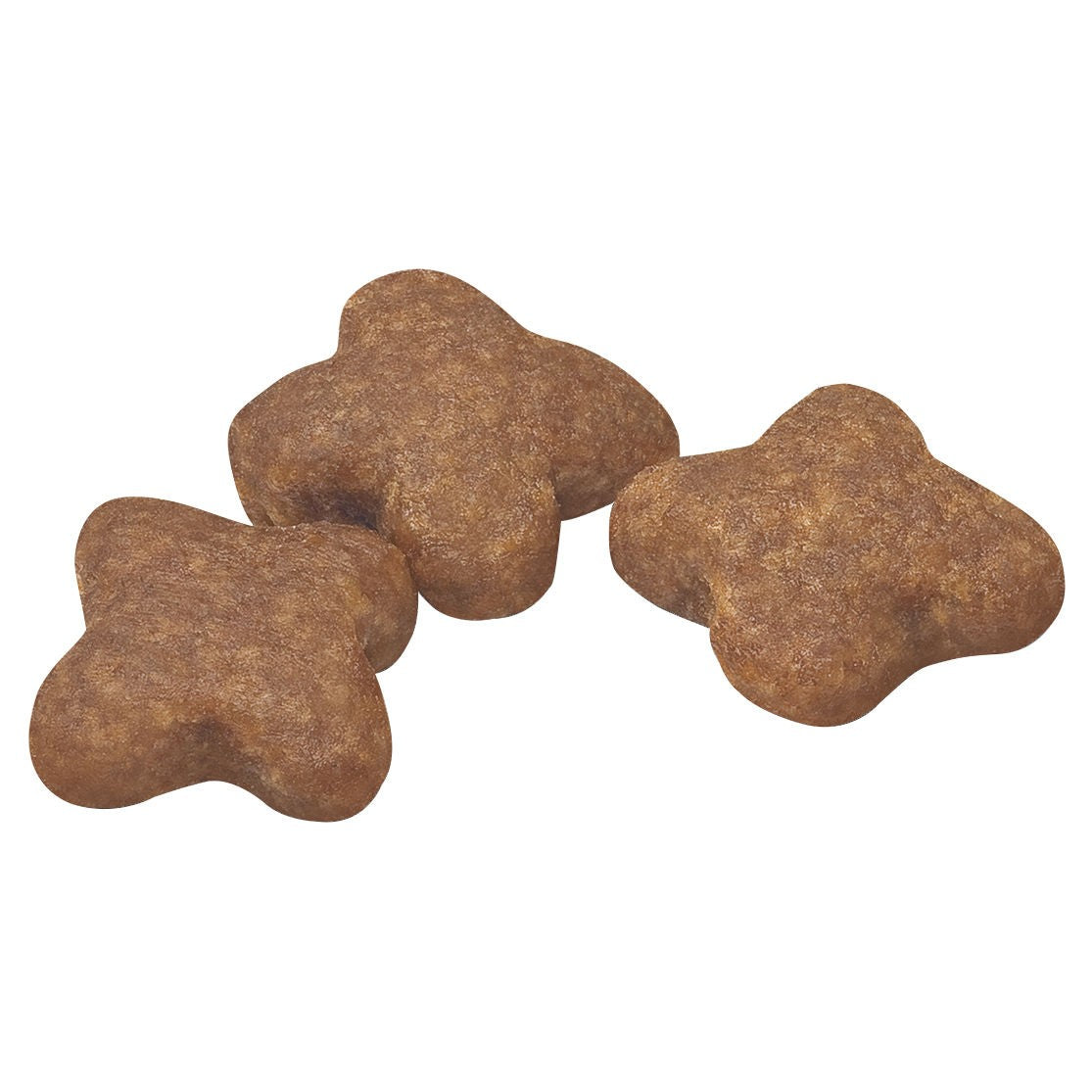 Royal Canin Mini Adult 8+ Dry Dog Food