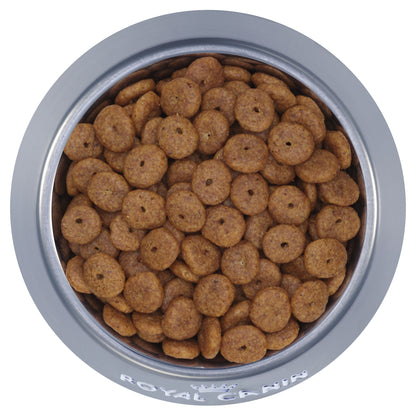 Royal Canin Mini Ageing 12+ Dry Dog Food