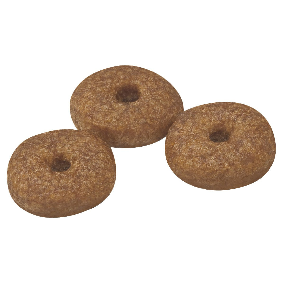 Royal Canin Mini Ageing 12+ Dry Dog Food