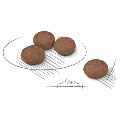 Royal Canin Mini Digestive Care Adult Dry Dog Food
