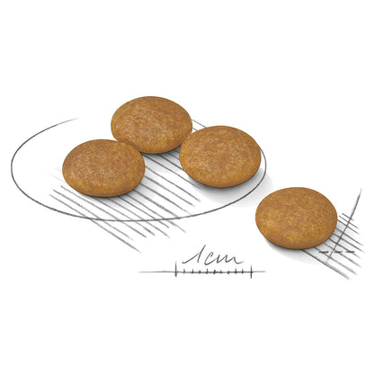 Royal Canin Mini Dermacomfort Care Adult Dry Dog Food