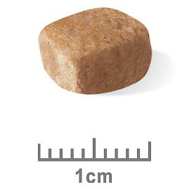 Royal Canin Dachshund Puppy Dry Dog Food