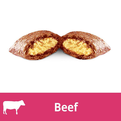 Temptations Hearty Beef Flavor Treats