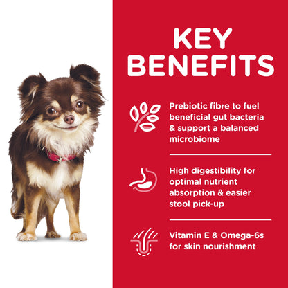 Hill's Science Diet Adult Sensitive Stomach & Skin Small & Mini Chicken Recipe Dry Dog Food