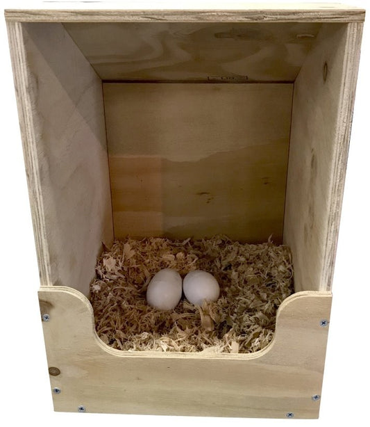 Single Chicken Layer Box Independents Own