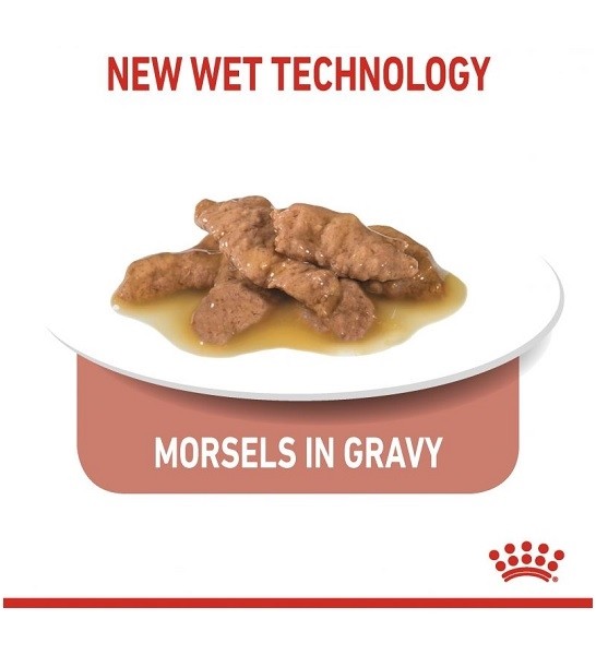 Royal Canin Indoor Sterilised 7+ Cat Wet Food Pouches Chunks in Gravy