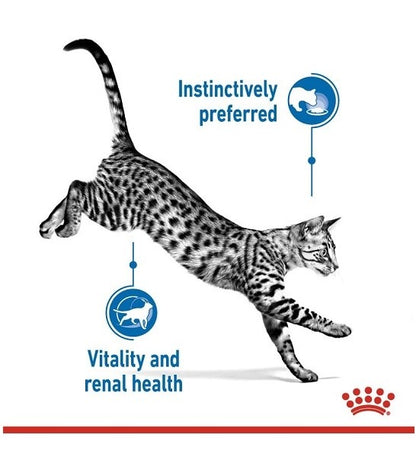 Royal Canin Indoor Sterilised 7+ Cat Wet Food Pouches Chunks in Gravy