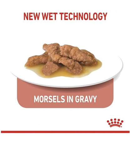 Royal Canin Indoor Sterilised Cat Wet Food Pouches in Gravy