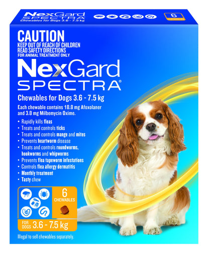 NexGard SPECTRA for Dogs 3.6 - 7.5kg YELLOW