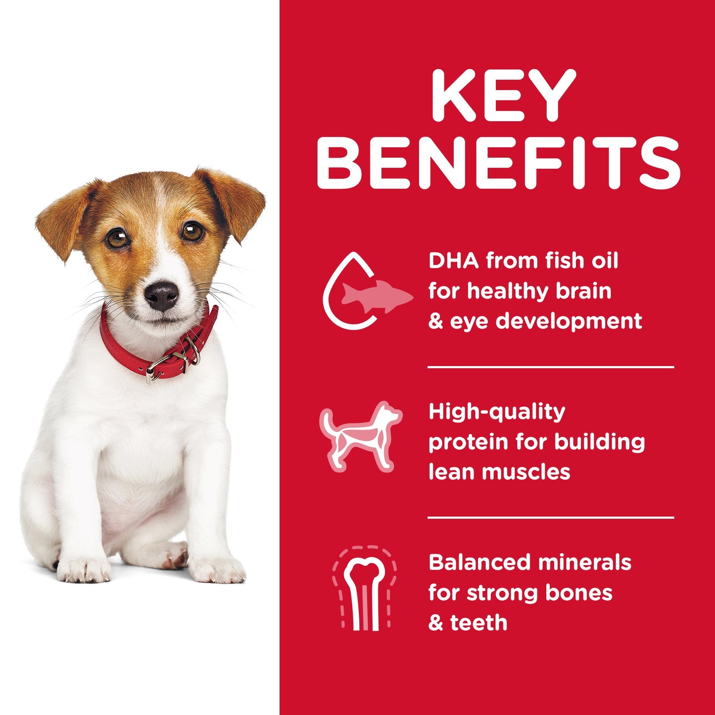 Hill's Science Diet Puppy Small Bites Chicken & Brown Rice Recipe Dry Dog Food
