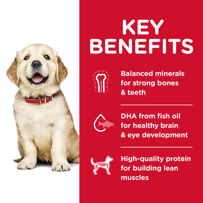 Hill's Science Diet Puppy Large Breed Chicken & Brown Rice Recipe Dry Dog Food