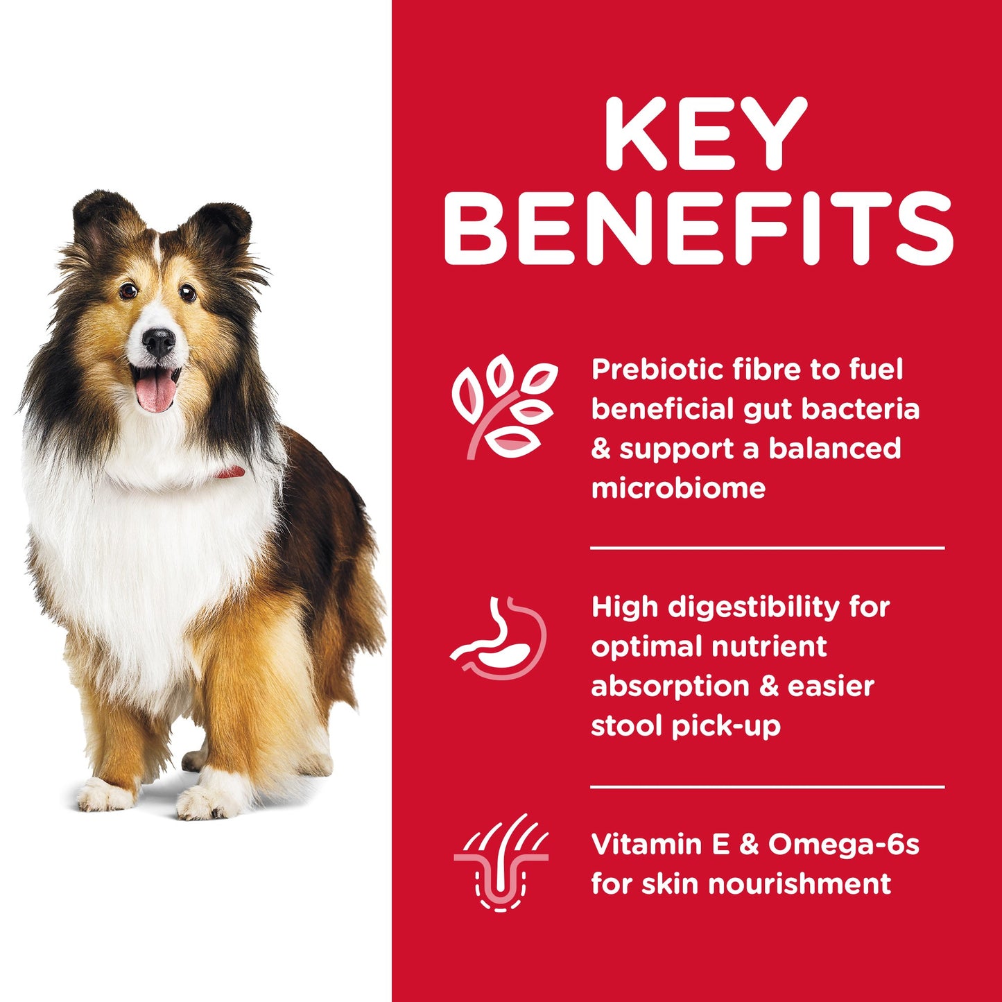 Hill's Science Diet Adult Sensitive Skin and Stomach Dry Dog Food