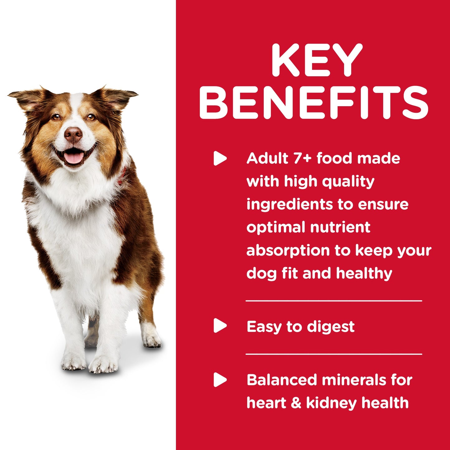 Hill's Science Diet Adult 7+ Savoury Stew Beef & Vegetables Canned Dog Food