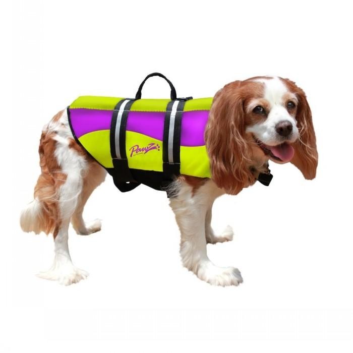 Pawz Neoprene Dog Life Jacket - Yellow & Purple