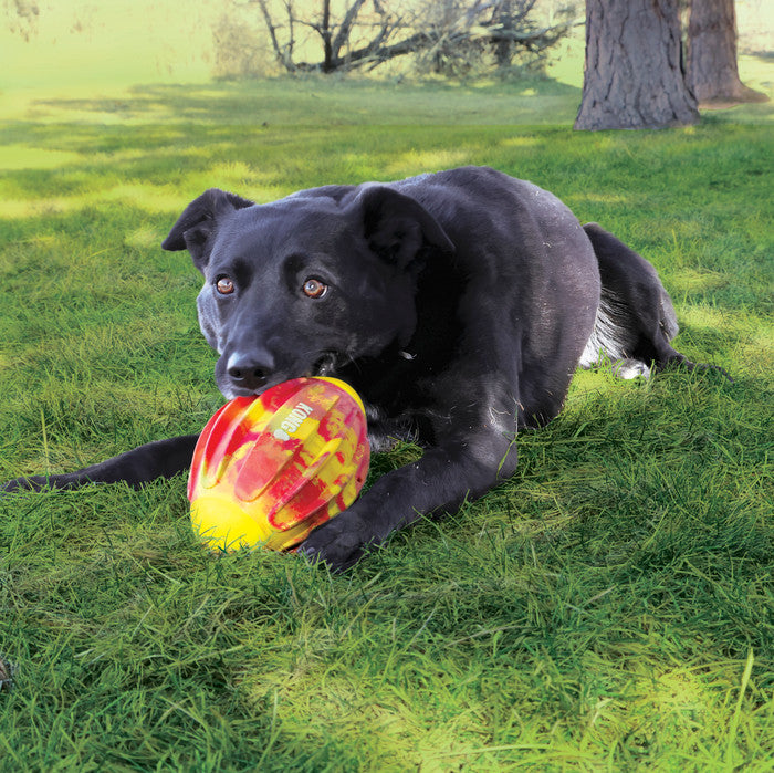 KONG Flexball Sport Football Dog Toy