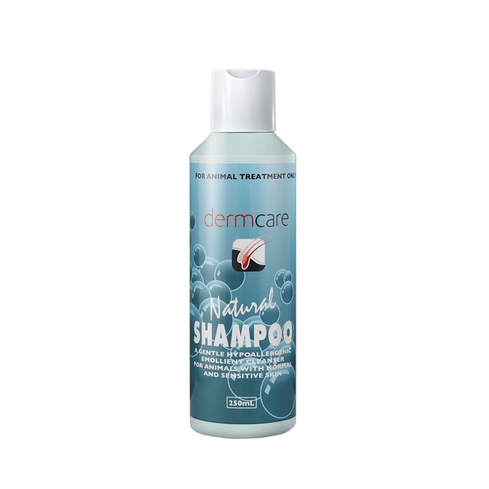 Dermcare Natural Shampoo
