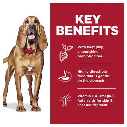 Hill's Science Diet Adult Sensitive Stomach & Skin Large Breed Chicken & Barley Recipe Dry Dog Food
