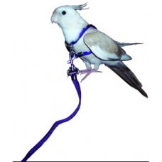 Bird Harness Small