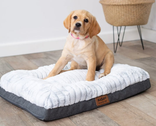 Kazoo Cloud Comfort Dog Bed Grey